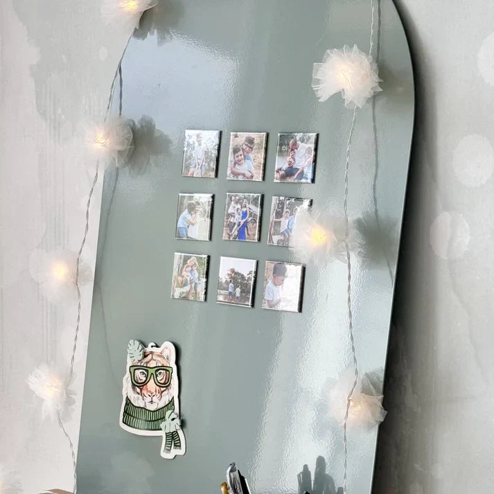 مغناطيس الصور